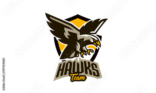 Colorful emblem, badge, logo of flying eagle. Bird, hunter, predator, dangerous animal, shield, lettering. Mascot sports club, vector illustration