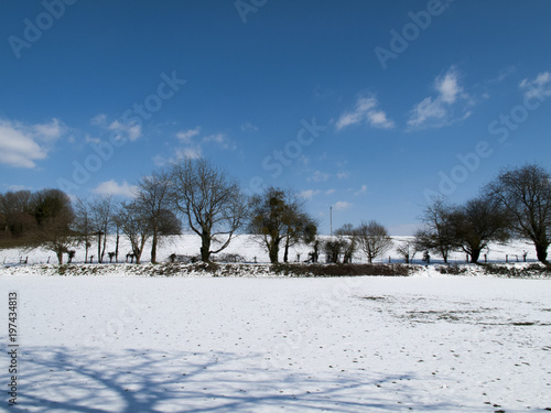 Wintry rural snow scene in mid march on farmland set against a blue sky