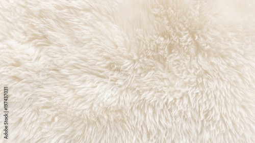 White wool texture background, cotton wool, white natural sheep wool, beige fluffy fur, fragment white carpet, close-up light wool with detail of woven pattern, factory fabric material with a twist photo