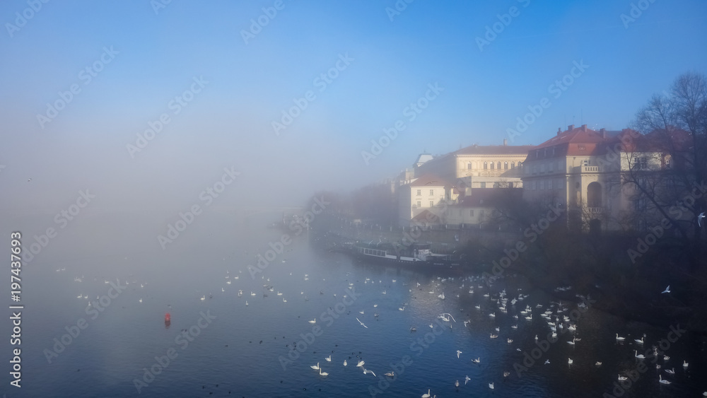 Fog over Danube River