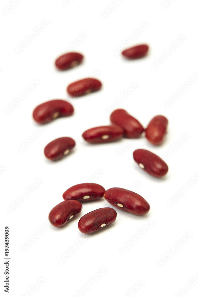 red bean on white background red bean on white background