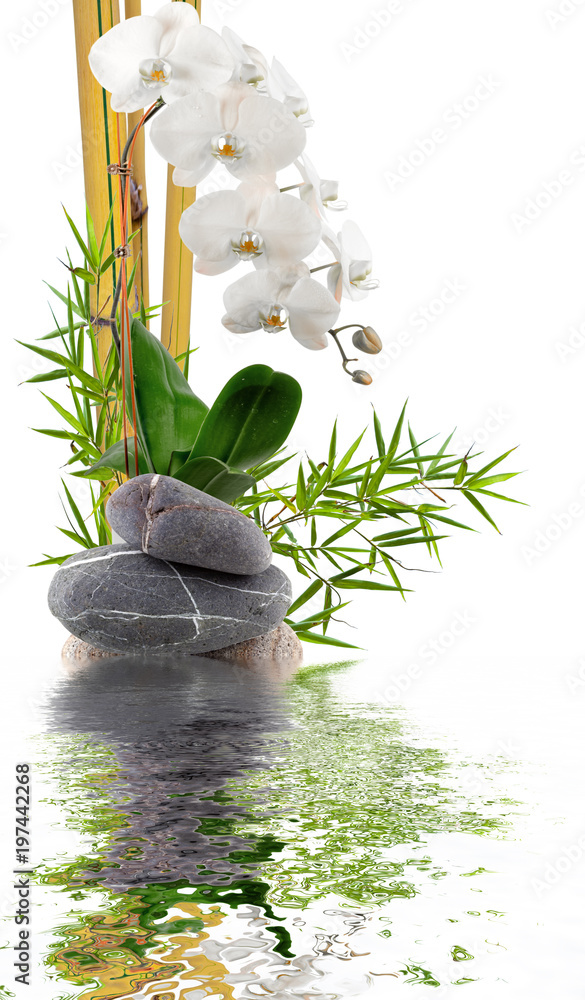Fototapeta premium bambus, biała orchidea i kamyki z odbiciami