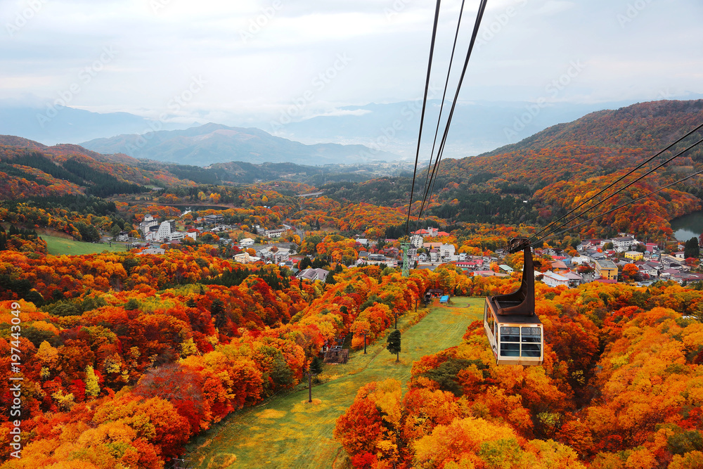 Obraz premium Aerial view of a scenic cable car flying over the beautiful autumn valley of Zao, a popular resort for Onsen and skiing in Yamagata, Japan ~ Magnificent fall scenery of colorful foliage in Japan