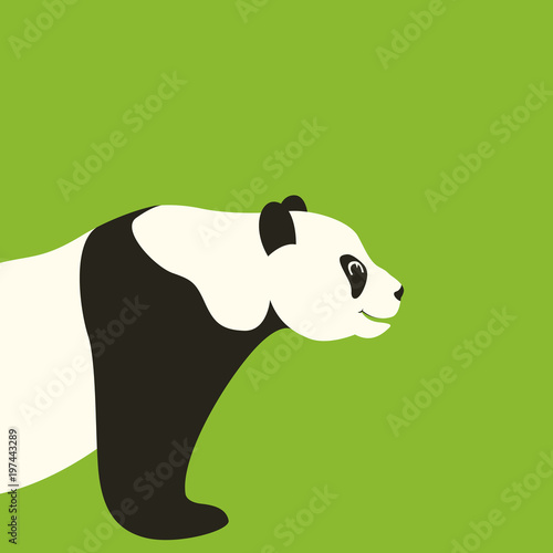 Fototapeta Naklejka Na Ścianę i Meble -  panda  face vector illustration flat style profile