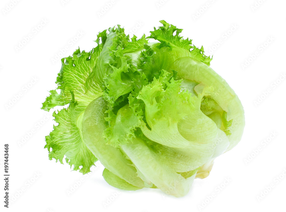 green frillice iceberg lettuce isolated on white background green frillice iceberg lettuce isolated on white background
