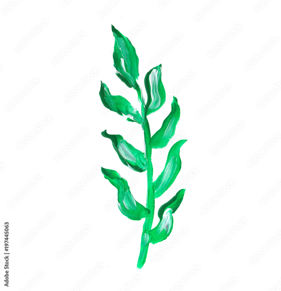 Hand painted element for design. Watercolor leaf. Botanical detail for cards, poster, scrabooking, web, invitations.