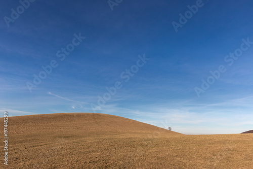 A distant  loney tree on a bare hill  beneath a blue sky with white clouds