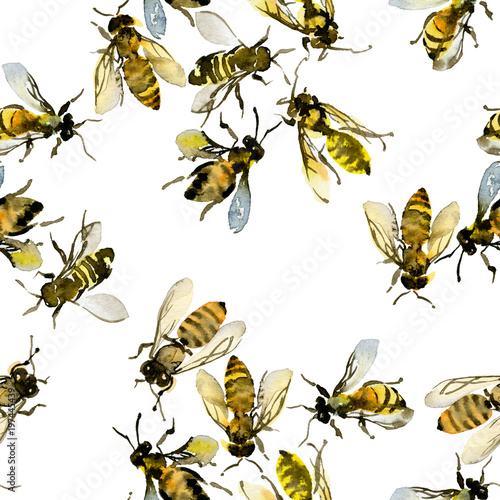 Honey, summer, country, wild bees. Watercolor. Illustration © Irina