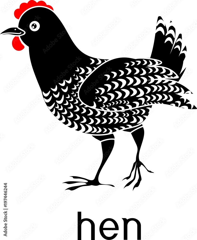 Obraz premium Black rooster with a red comb and title