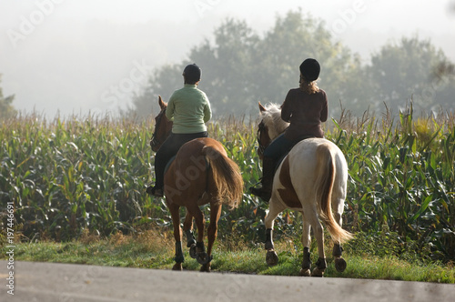chevaux cheval cavalier equitation © JeanLuc