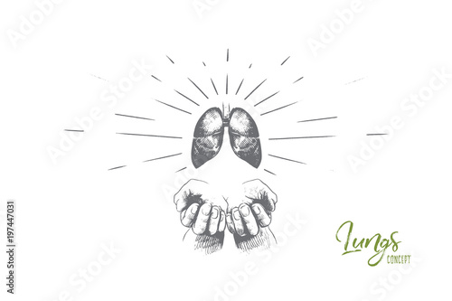 Lungs concept. Hand drawn human lungs in hands. Concept of World Tuberculosis Day isolated vector illustration.