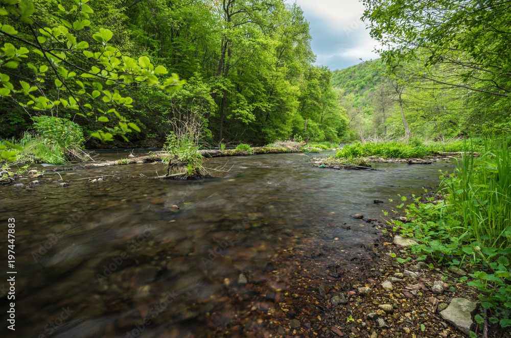 Beautiful river flows in the forest, spring, Ukraine Beautiful river flows in the forest, spring, Ukraine