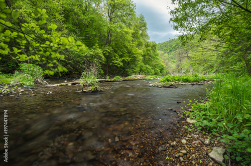 Beautiful river flows in the forest  spring  Ukraine