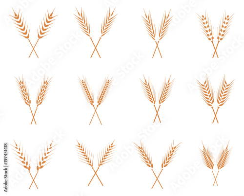 Vector wheat ears icons set.