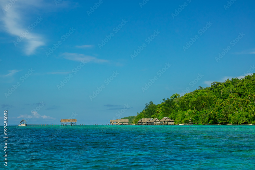 Island Covered with Jungle and Huts on the Water
