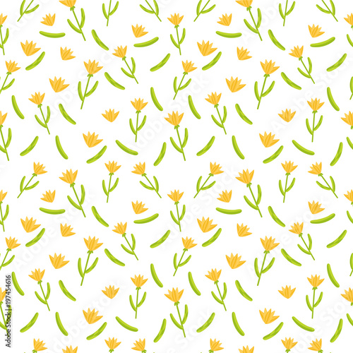 Flower illustration, seamless pattern