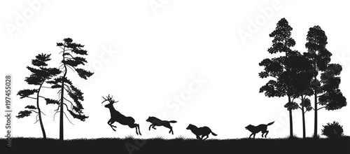 
Black silhouettes of forest animals. Flock of wolves hunts a deer. Isolated landscape. Wildlife scene. Vector illustration