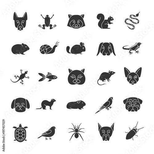 Pets glyph icons set