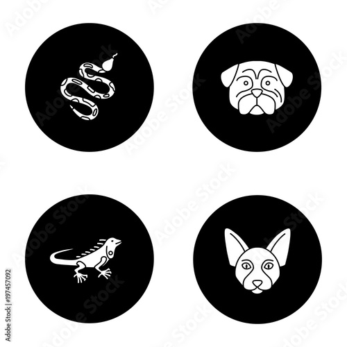 Pets glyph icons set