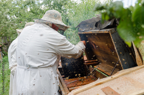 Beekeepers process beehives with honey bees