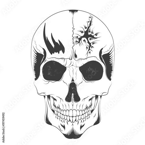 vector illustration of a skull sketch with a hole in the head. t-shirt design, poster, ticket and others