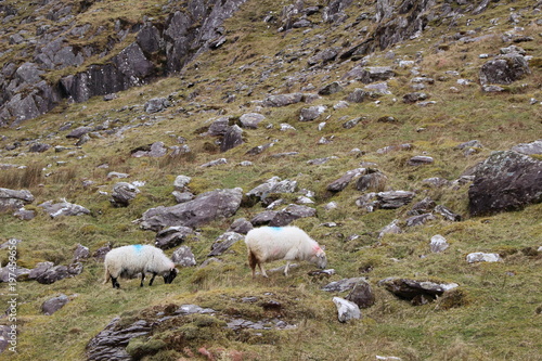 Kerry, Ireland © Hazel