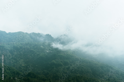 Mountain with mist and cloud in morning time.