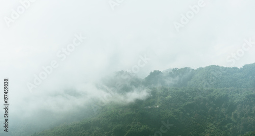 Mountain with mist and cloud in morning time.