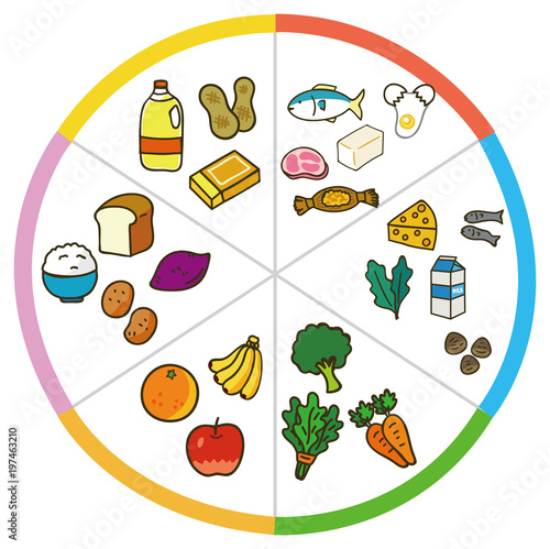 5大栄養素を多く含む食品例のイラスト素材 図 Stock ベクター Adobe Stock