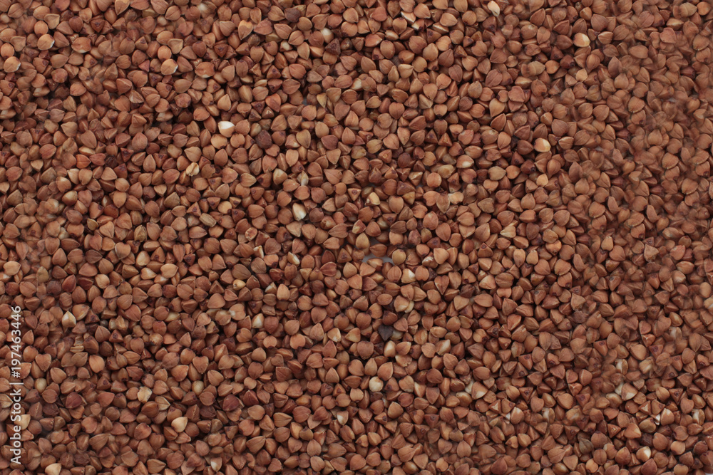 brown crops background