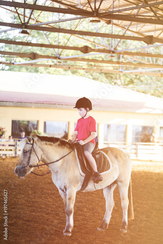 A little boy riding a horse. First lessons of horseback riding