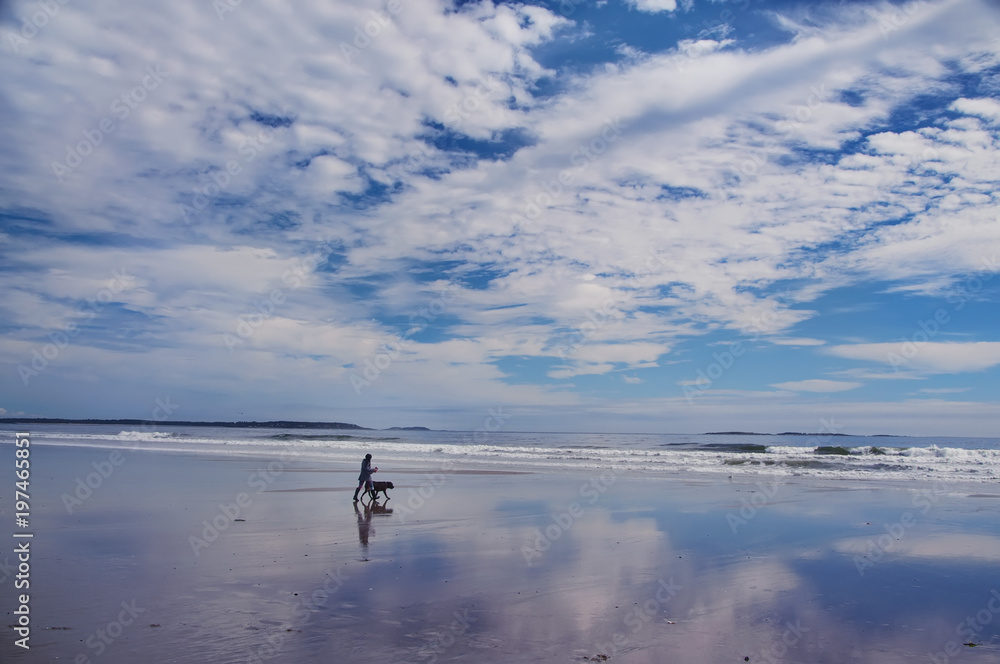 Fototapeta premium the shore of the ocean at low tide, the reflection of clouds in the surface of sand and water, the girl walks with a dog. Atlantic Ocean. USA 