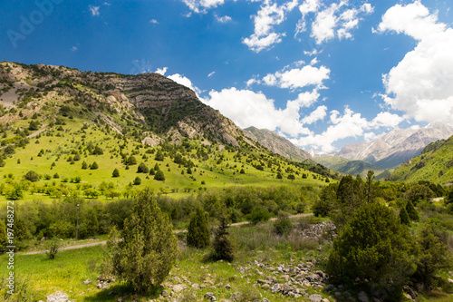 Beautiful nature in the Himalayas in spring