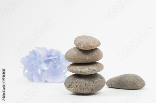 Set of blue flower on pebble