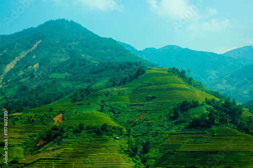 beautiful green scenery of mountains with productive agriculture in ladder-like levels