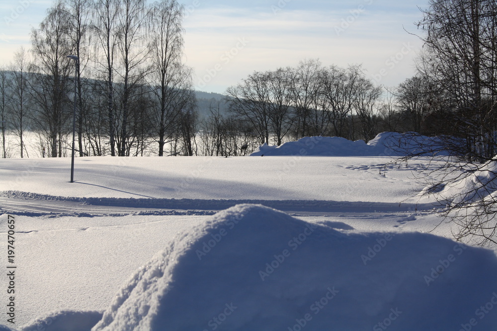 Winterlandscape I