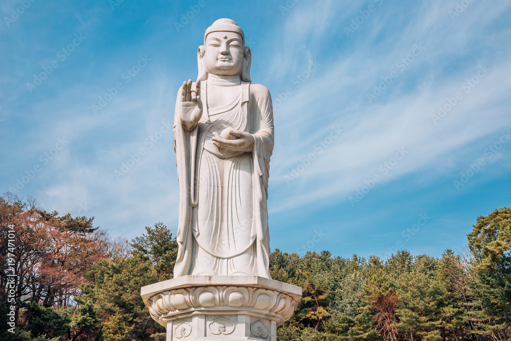 Buddha statue in Donghwasa temple, Daegu, Korea