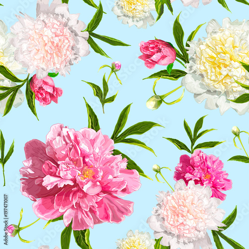 Seamless pattern with pink and light yellow Peonies flowers on a blue background. Hand drawn sketch. Template for floral textile design, paper, wallpaper, web. Spring and summer composition