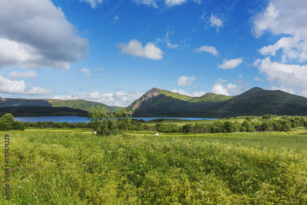 Typical scandinavian landscape with meadows, mountains and straw in special white plastic bags. Lofoten islands, Norway. Typical scandinavian landscape with meadows, mountains and straw in special white plastic bags. Lofoten islands, Norway.