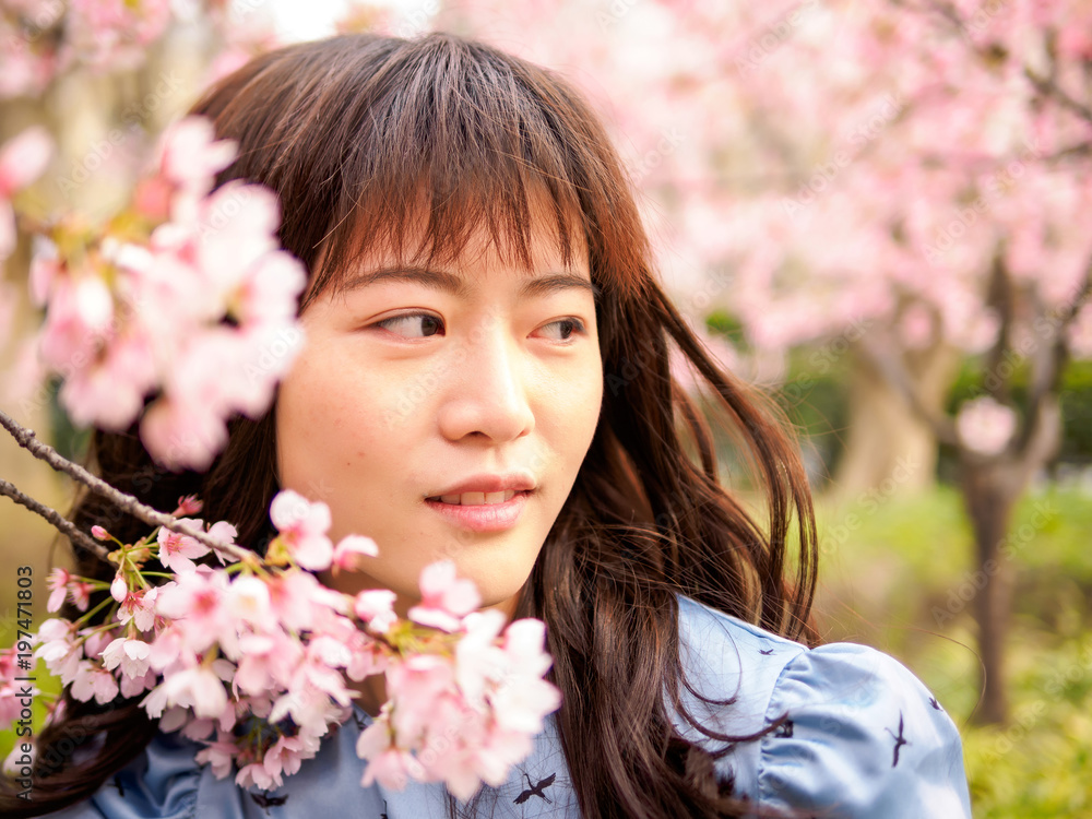 Outdoor portrait of beautiful young Chinese girl in blue dress smiling among blossom cherry tree brunch in spring garden, beauty, summer, emotion, expression and people concept. Outdoor portrait of beautiful young Chinese girl in blue dress smiling among blossom cherry tree brunch in spring garden, beauty, summer, emotion, expression and people concept.