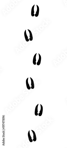 Alpine ibex or capricorn tracks - isolated black icon vector illustration on white background.