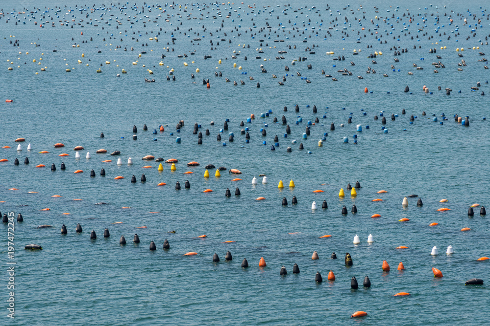 Fototapeta premium Vor dem Hafen von Olbia, Sardinien