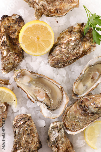 fresh oyster and lemon