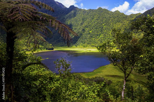 Grand Etang - Plaine des Palmistes - Ile de la Réunion