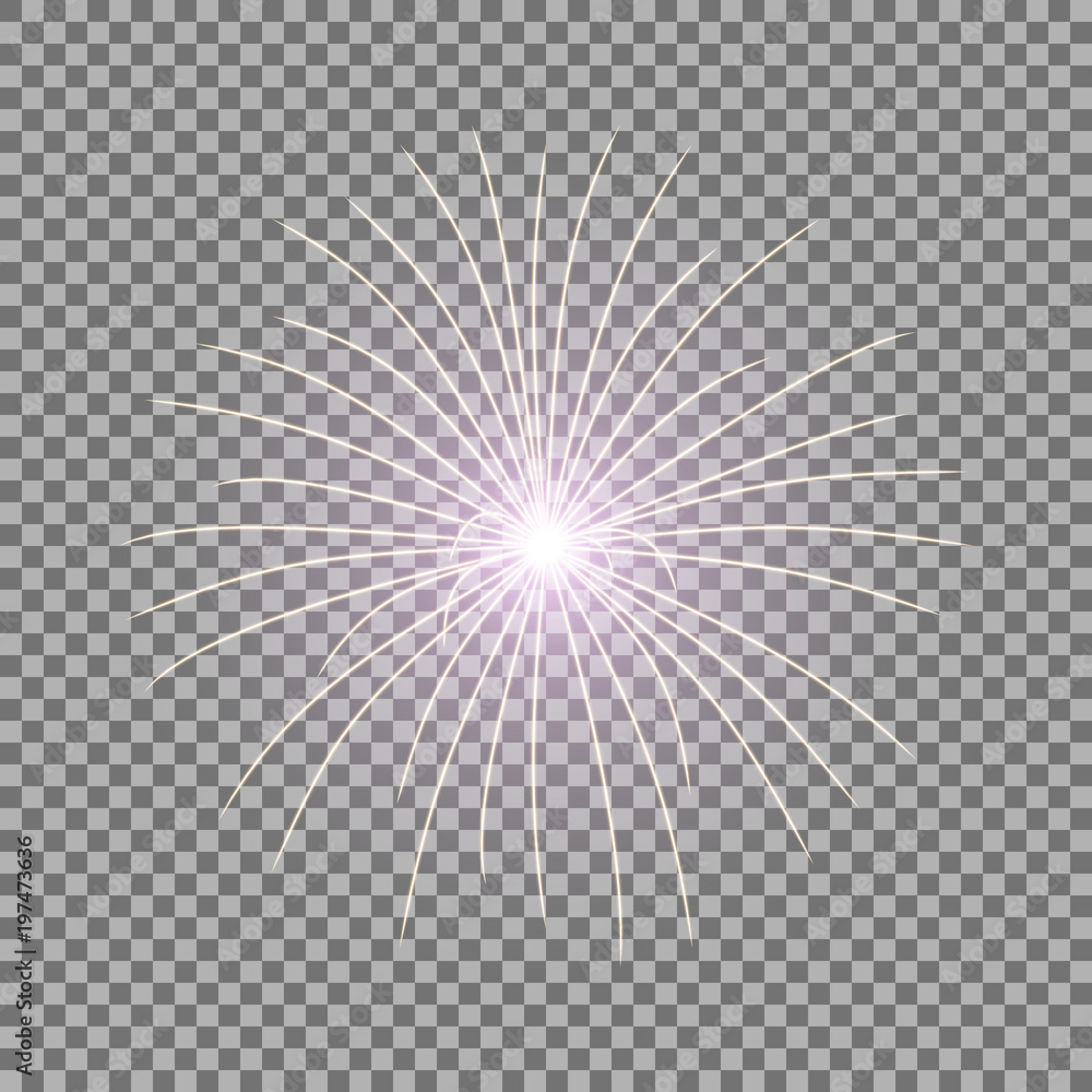 Obraz premium Vector festive firework, burst, purple color