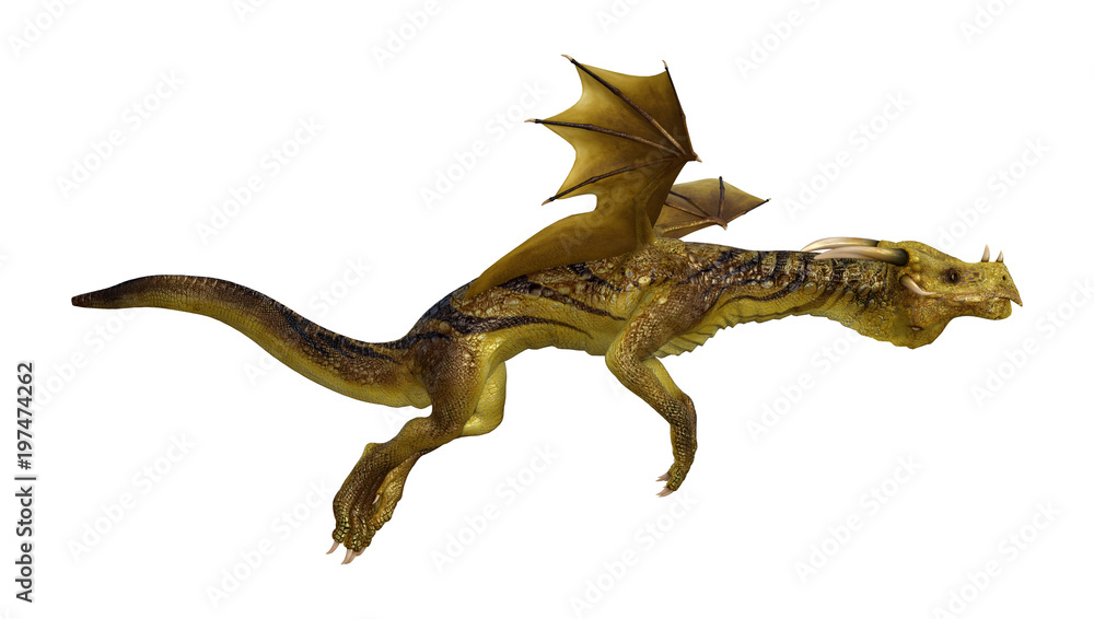 3D Rendering Fantasy Dragon on White 3D Rendering Fantasy Dragon on White