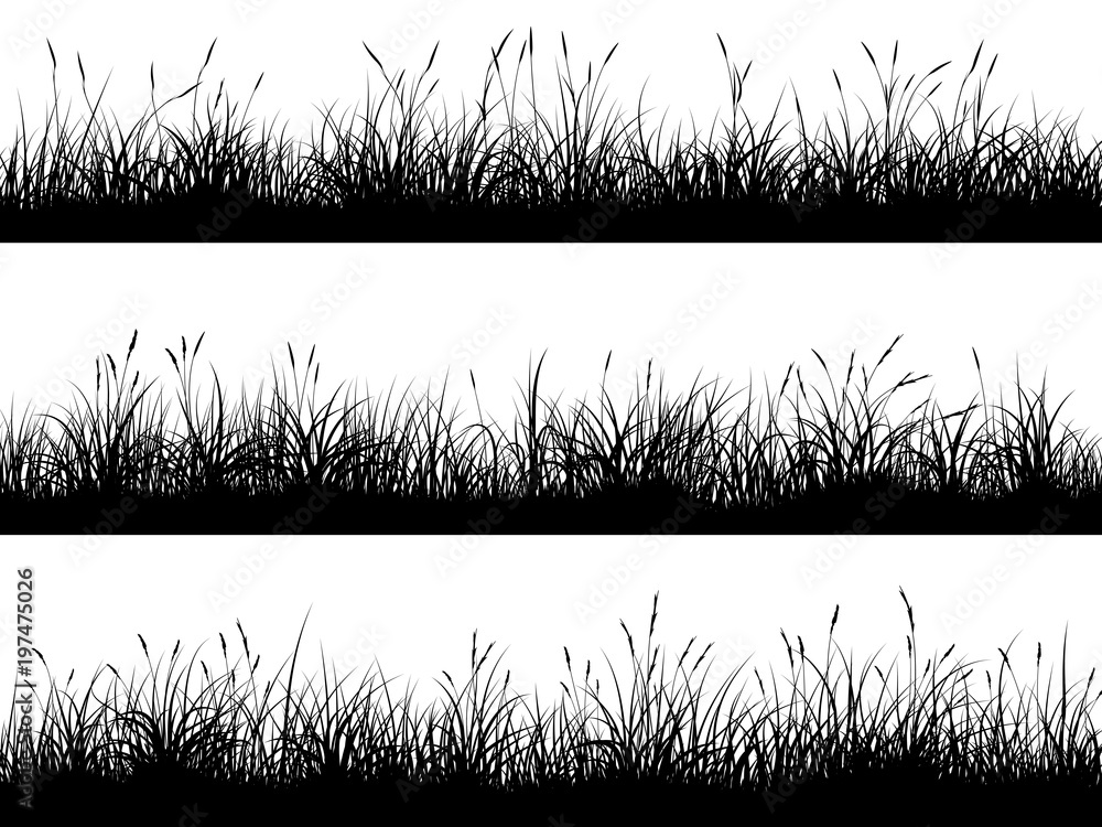 Horizontal banners of meadow silhouettes with high grass. - obrazy, fototapety, plakaty 