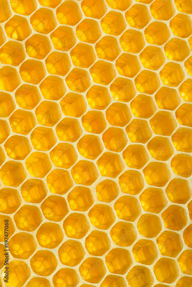 Yellow honeycomb texture background Yellow honeycomb texture background