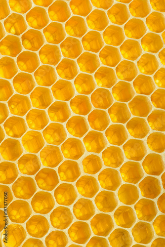Yellow honeycomb texture background