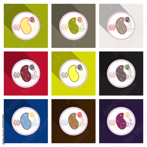 Grilled meat steak , herb on white dish in flat icon style